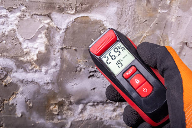 Best Mold Testing  in Wellsville, KS