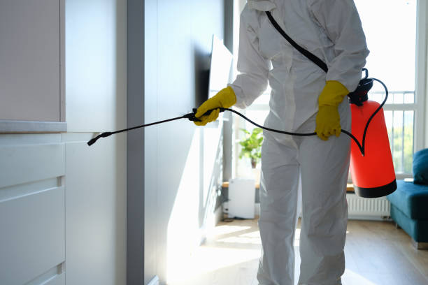 Best Emergency Mold Removal  in Wellsville, KS