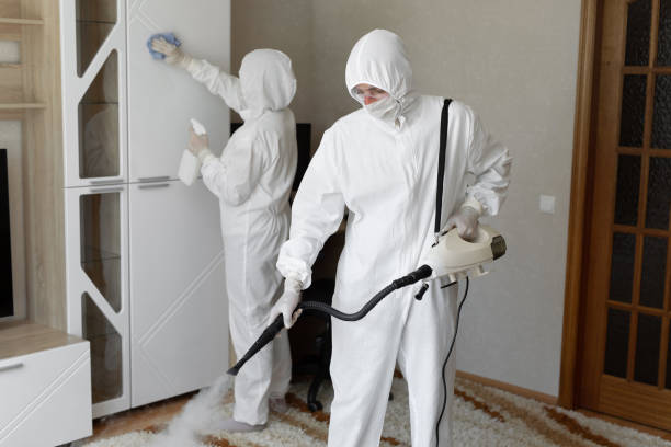 Best Local Mold Removal Service  in Wellsville, KS