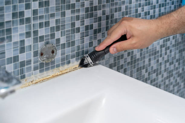 Mold Removal and Inspection in Wellsville, KS