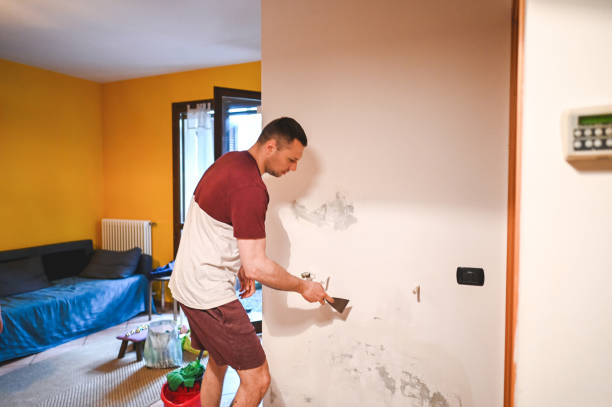 Best Mold Damage Repair  in Wellsville, KS