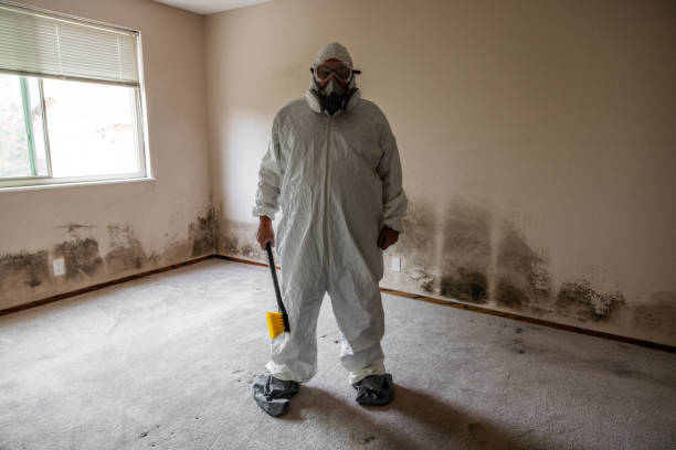 Best Professional Mold Removal  in Wellsville, KS